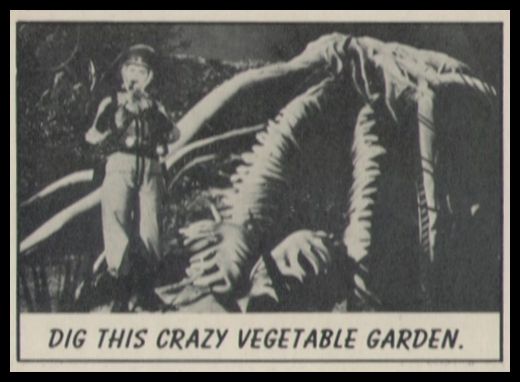 17 Dig This Crazy Vegetable Garden